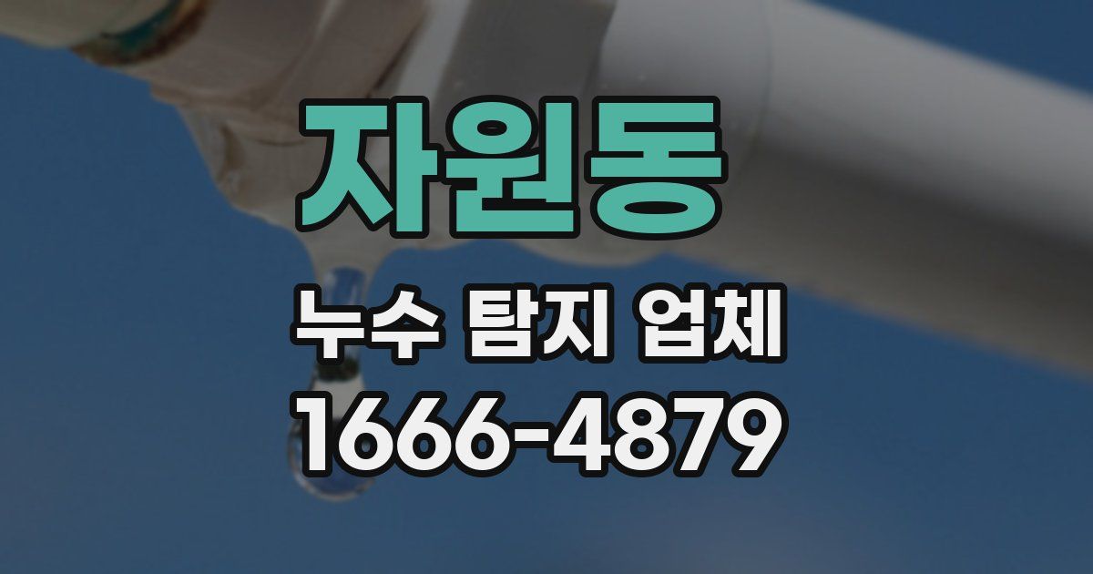 자원동 누수 탐지 업체