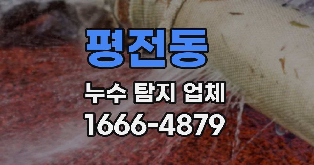 평전동 누수 탐지 업체