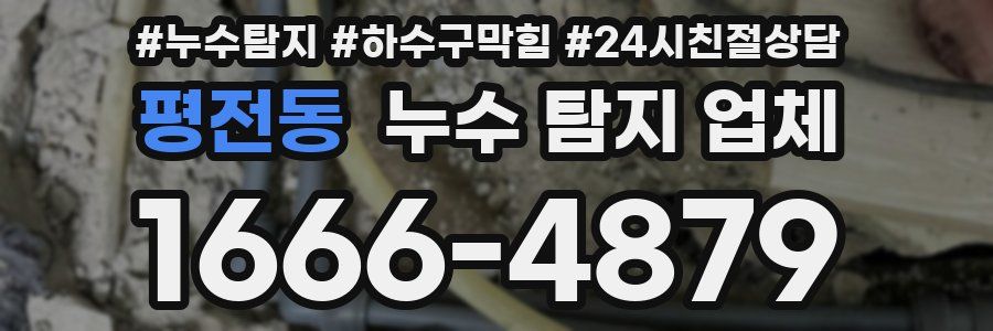 평전동 누수 탐지 업체