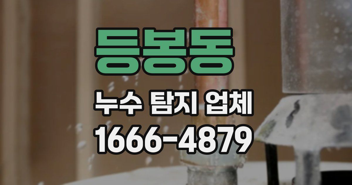 등봉동 누수 탐지 업체