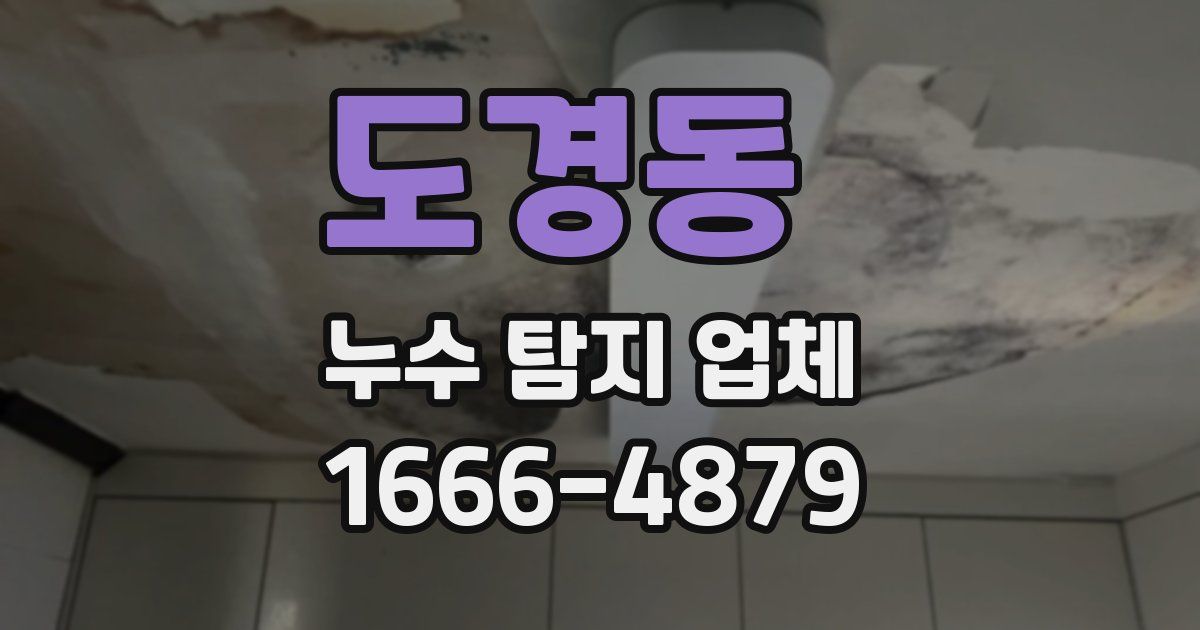 도경동 누수 탐지 업체