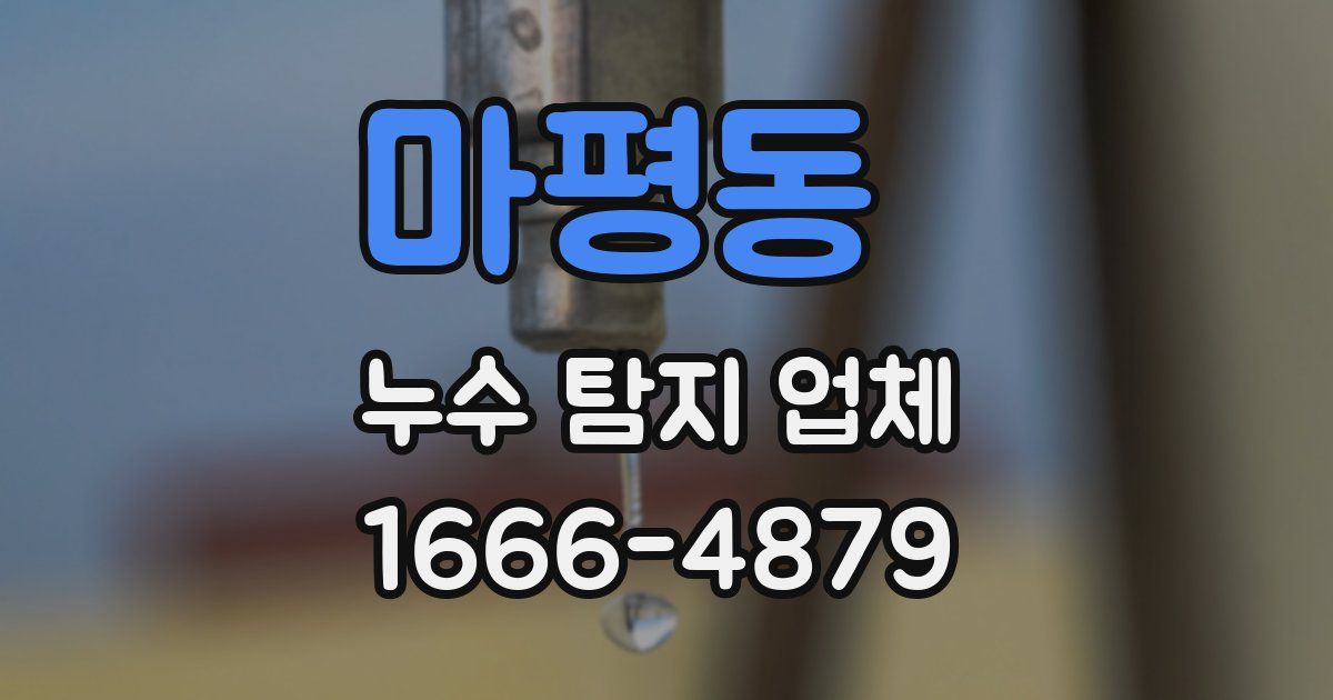 마평동 누수 탐지 업체