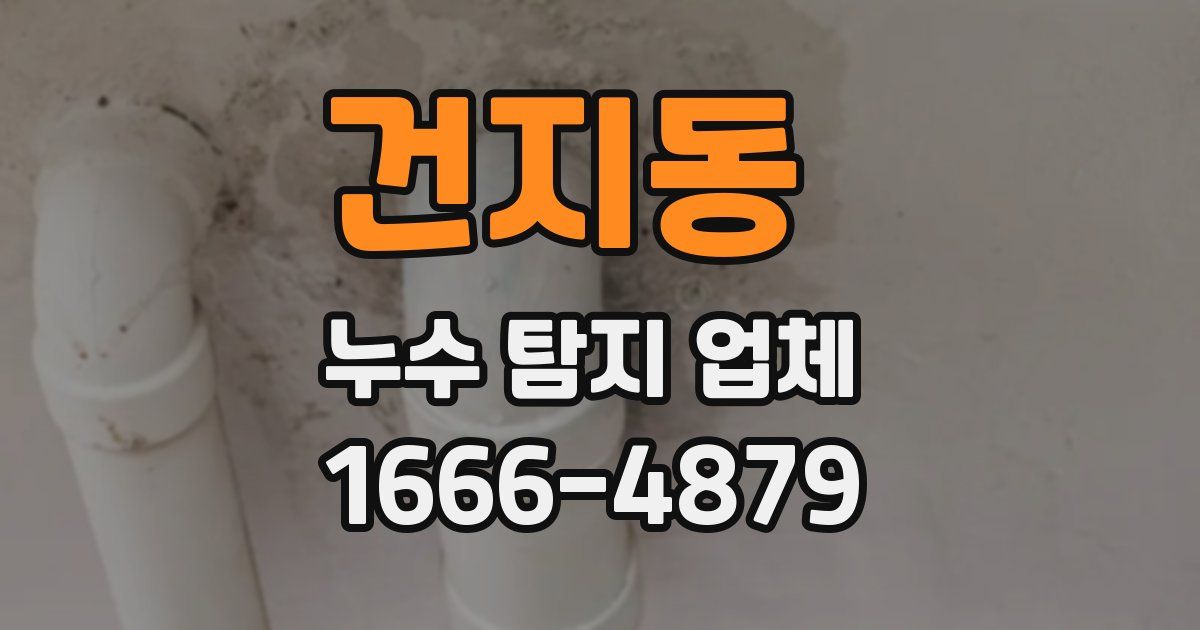건지동 누수 탐지 업체