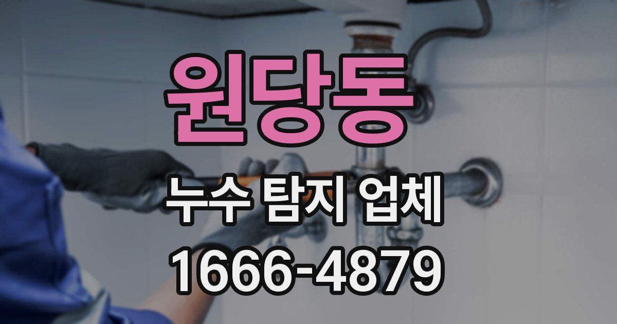원당동 누수 탐지 업체
