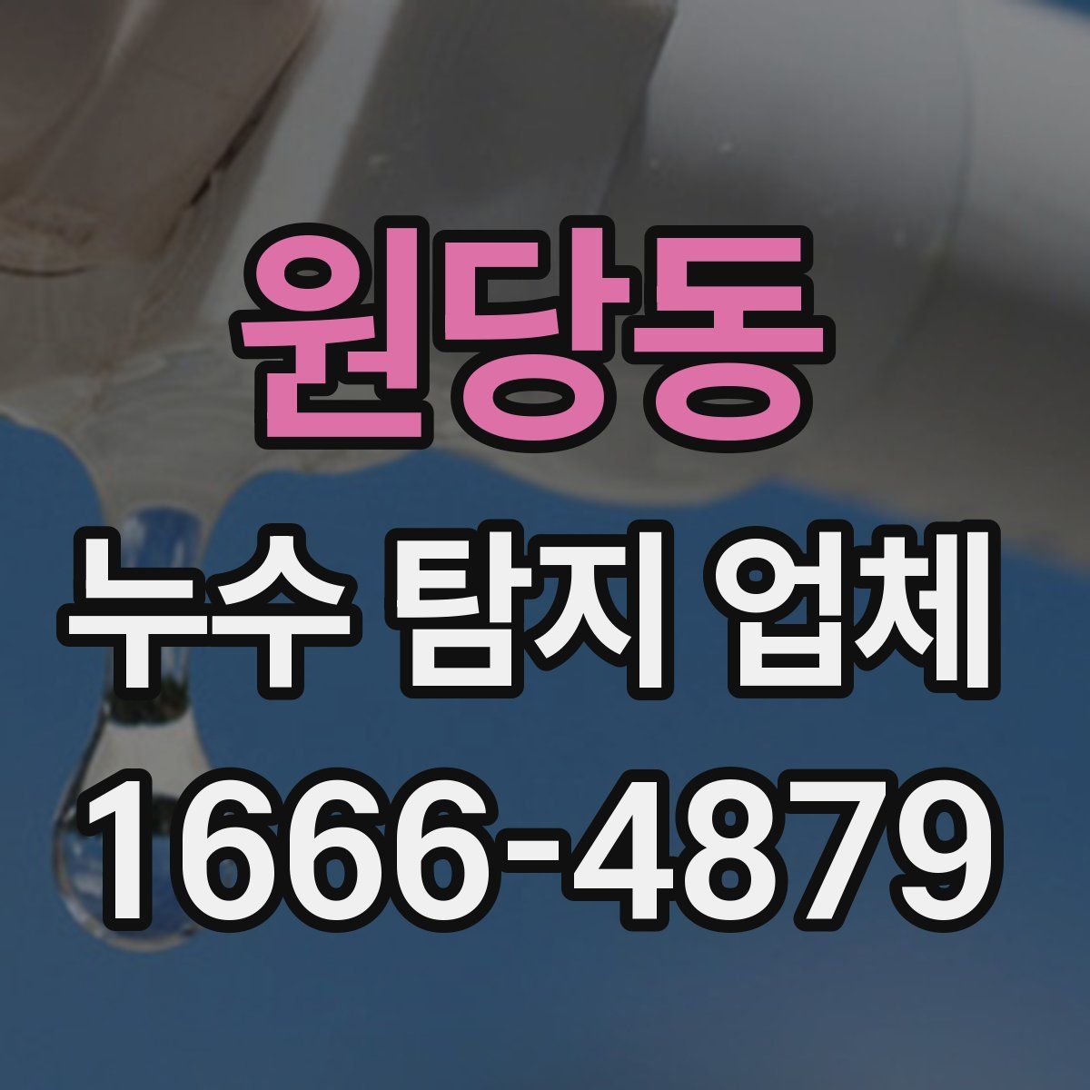 원당동 누수 탐지 업체