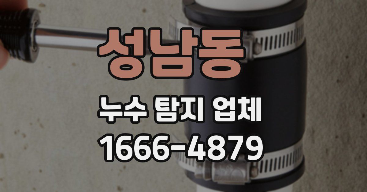 성남동 누수 탐지 업체