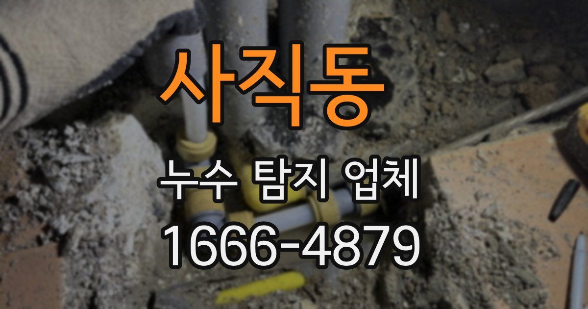 사직동 누수 탐지 업체