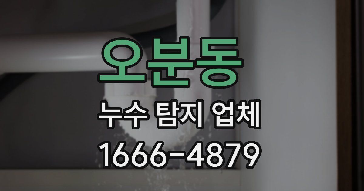 오분동 누수 탐지 업체