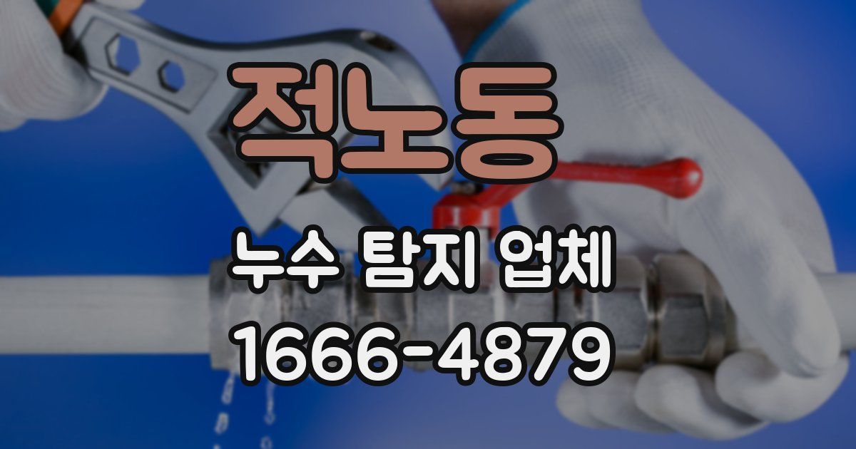 적노동 누수 탐지 업체