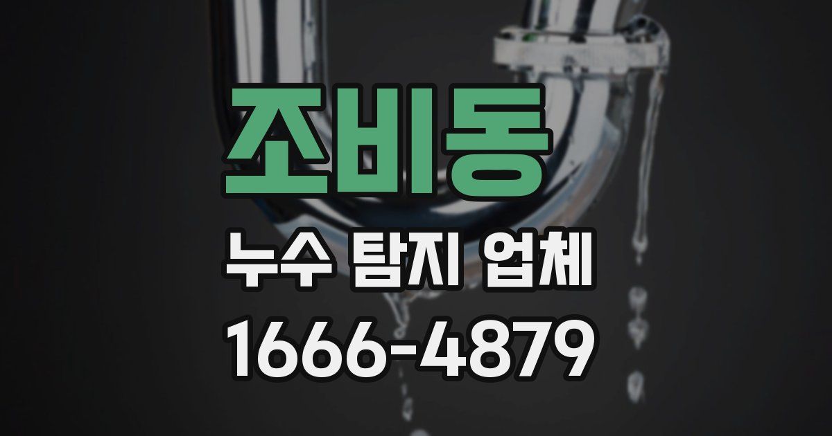 조비동 누수 탐지 업체