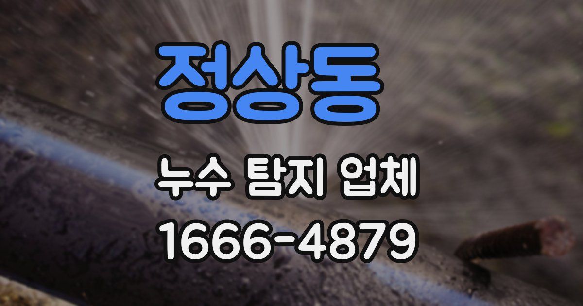 정상동 누수 탐지 업체