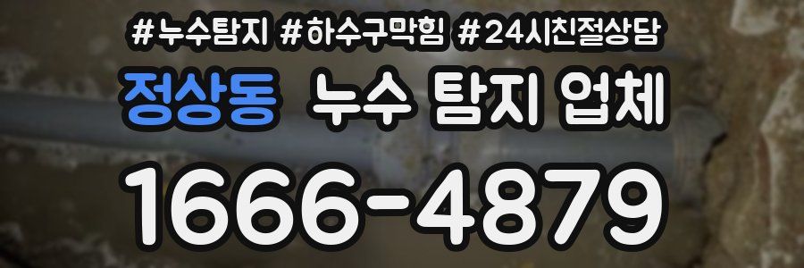 정상동 누수 탐지 업체