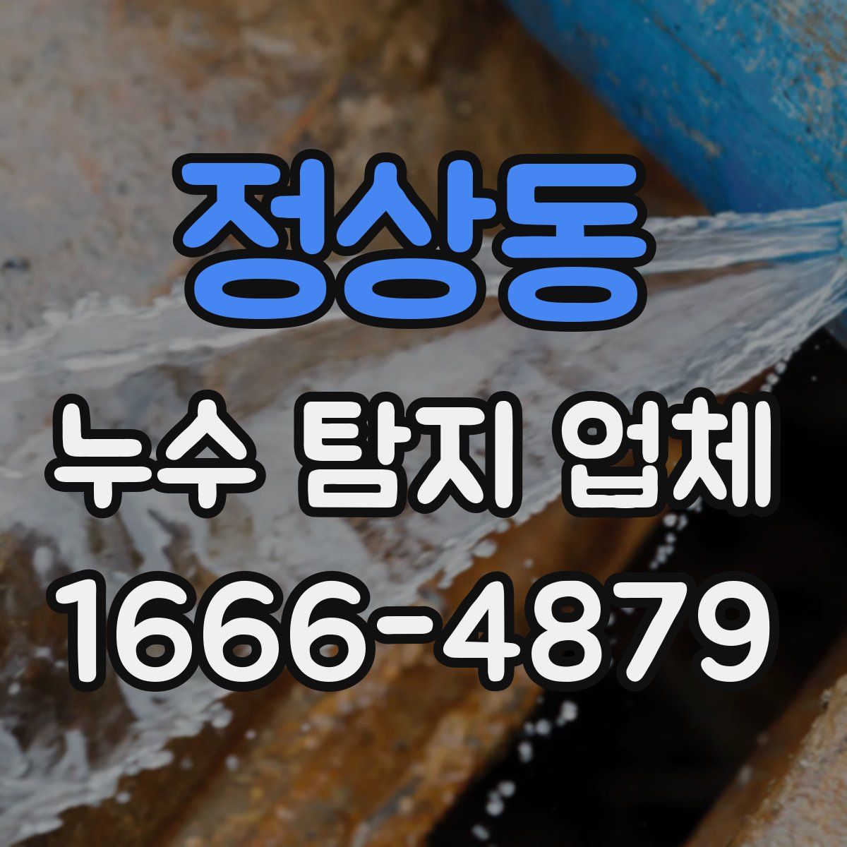 정상동 누수 탐지 업체