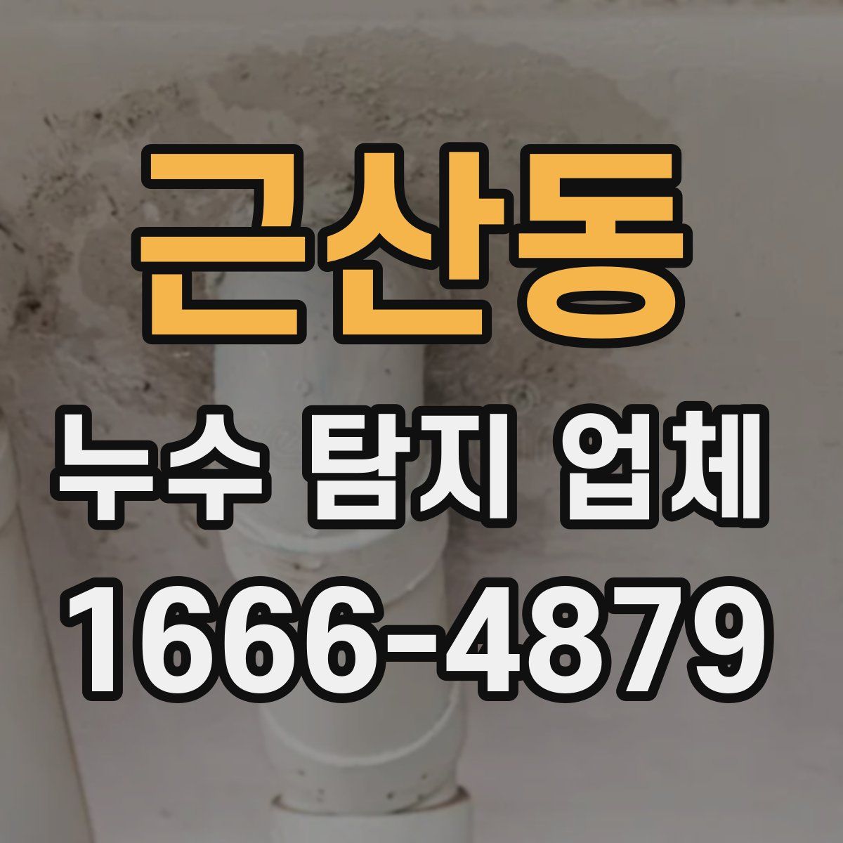 근산동 누수 탐지 업체