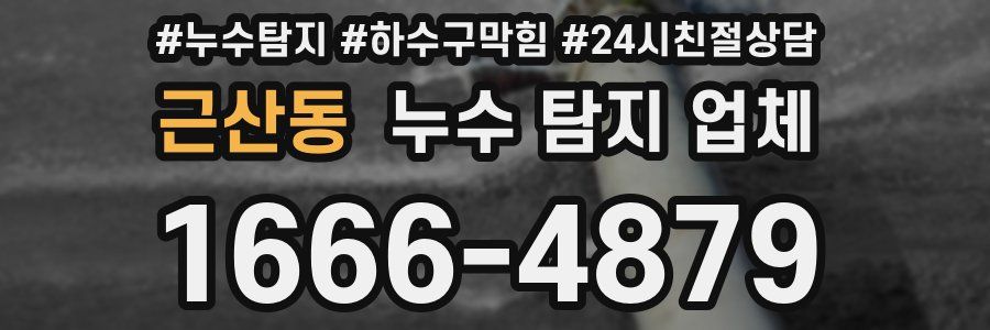근산동 누수 탐지 업체
