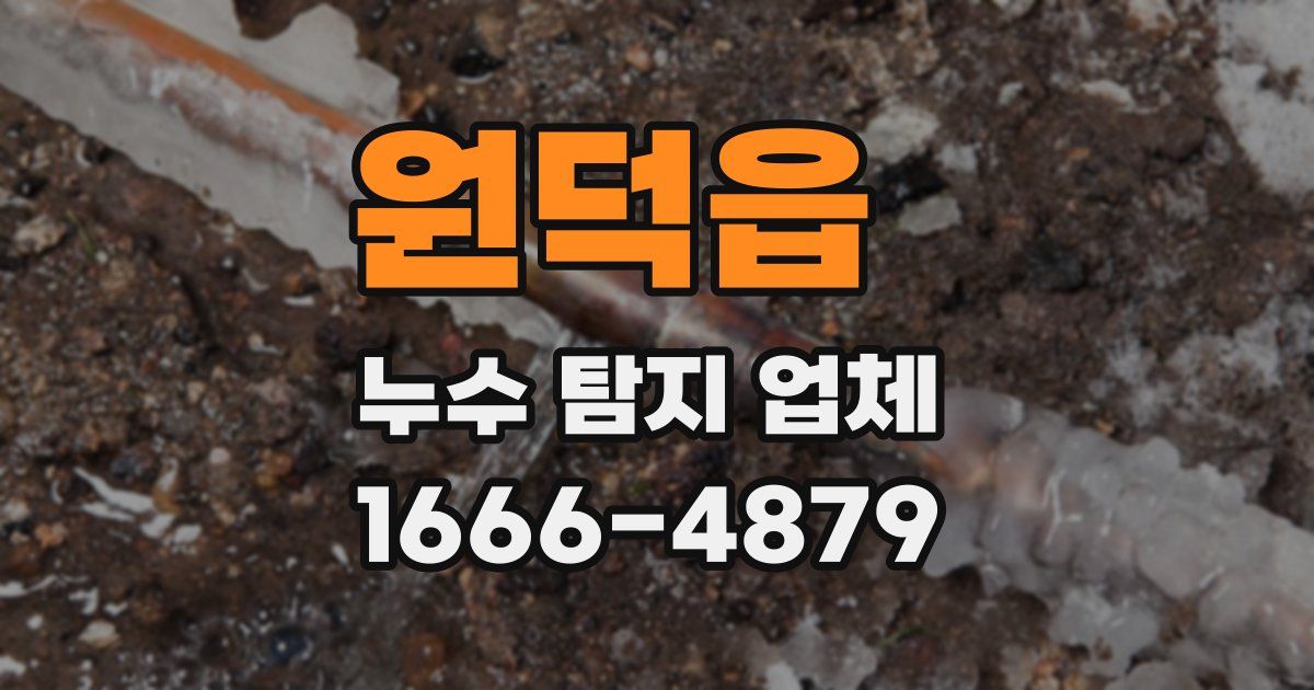 원덕읍 누수 탐지 업체