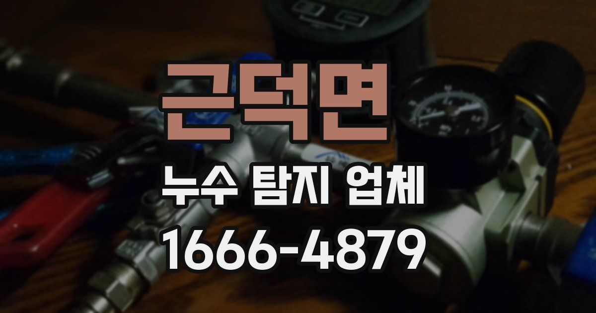 근덕면 누수 탐지 업체