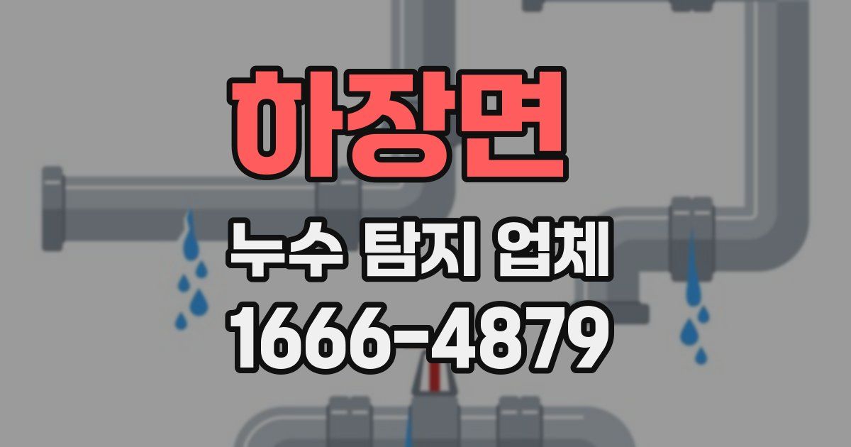 하장면 누수 탐지 업체
