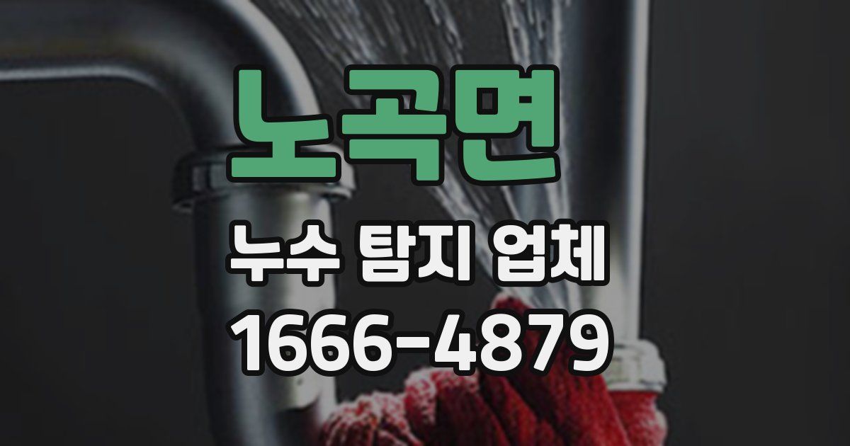 노곡면 누수 탐지 업체