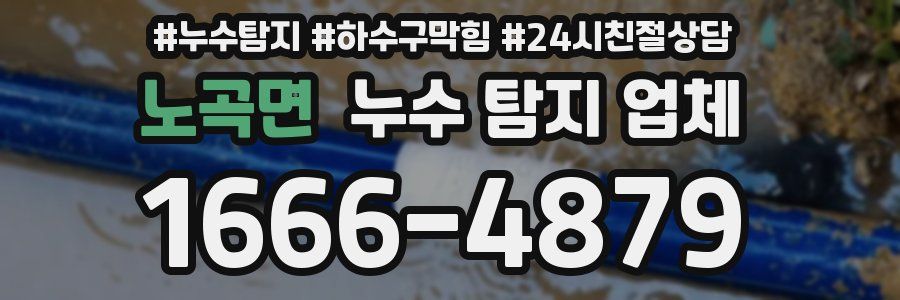 노곡면 누수 탐지 업체