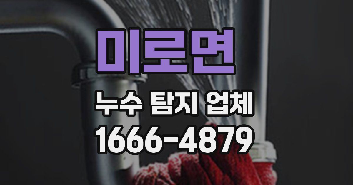 미로면 누수 탐지 업체