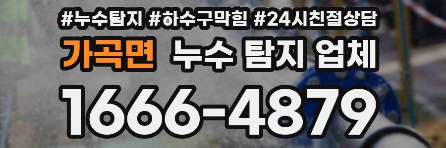 가곡면 누수 탐지 업체