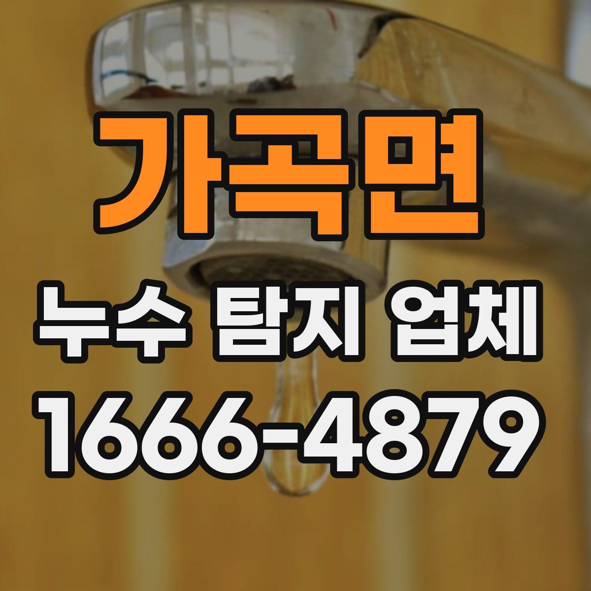 가곡면 누수 탐지 업체
