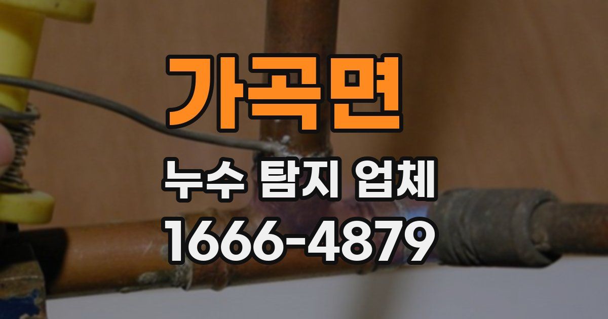 가곡면 누수 탐지 업체