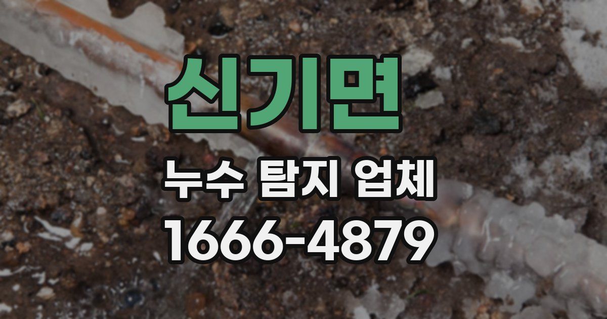 신기면 누수 탐지 업체