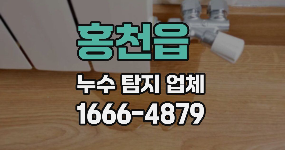 홍천읍 누수 탐지 업체