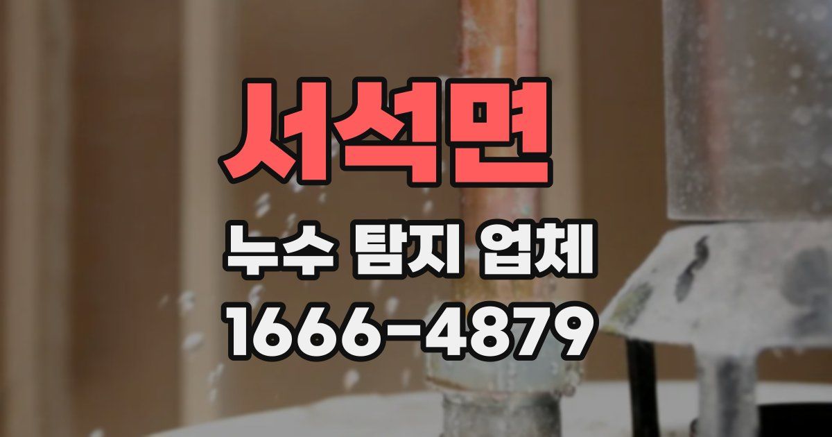 서석면 누수 탐지 업체