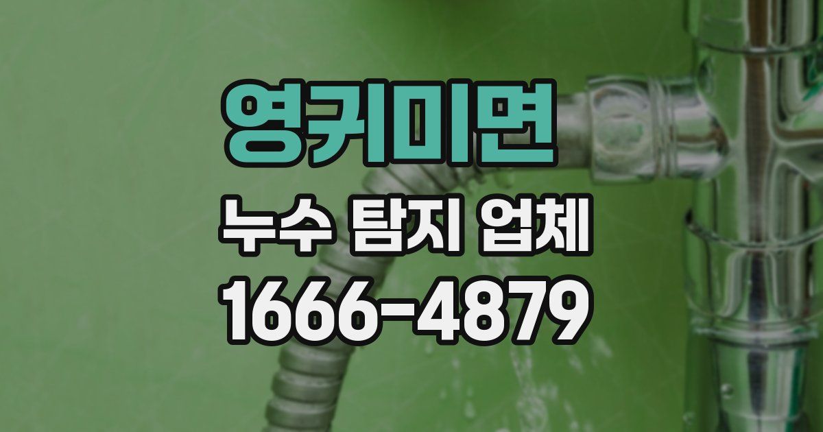 영귀미면 누수 탐지 업체