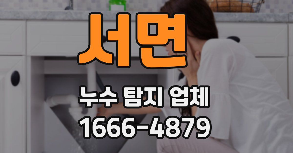 서면 누수 탐지 업체