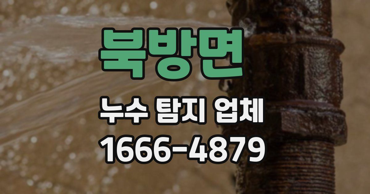 북방면 누수 탐지 업체