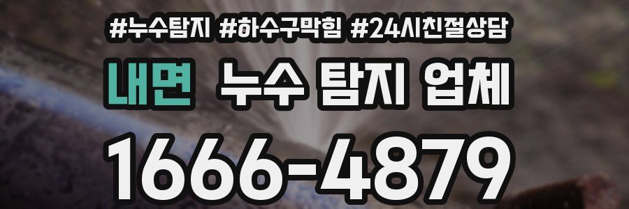 내면 누수 탐지 업체