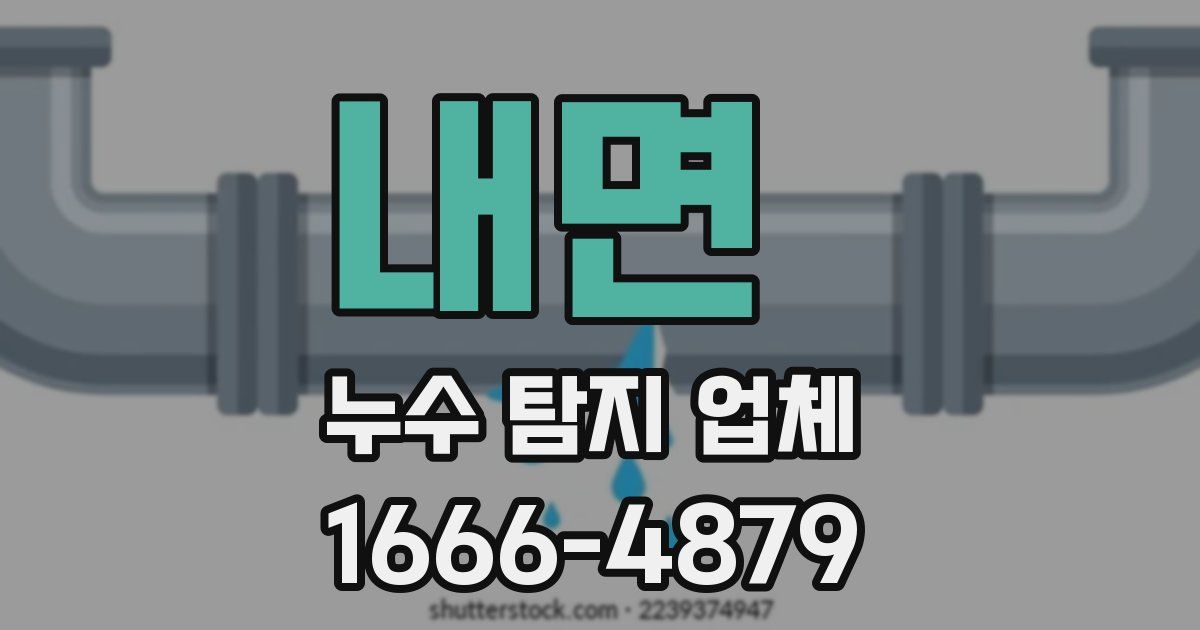 내면 누수 탐지 업체