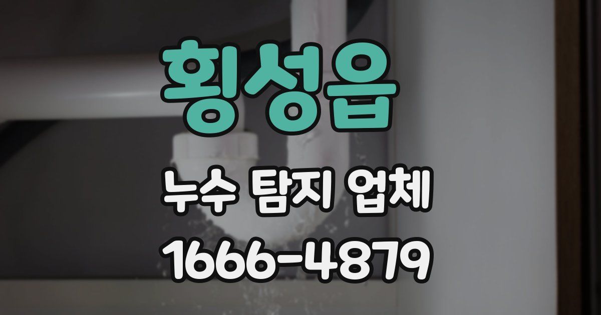 횡성읍 누수 탐지 업체