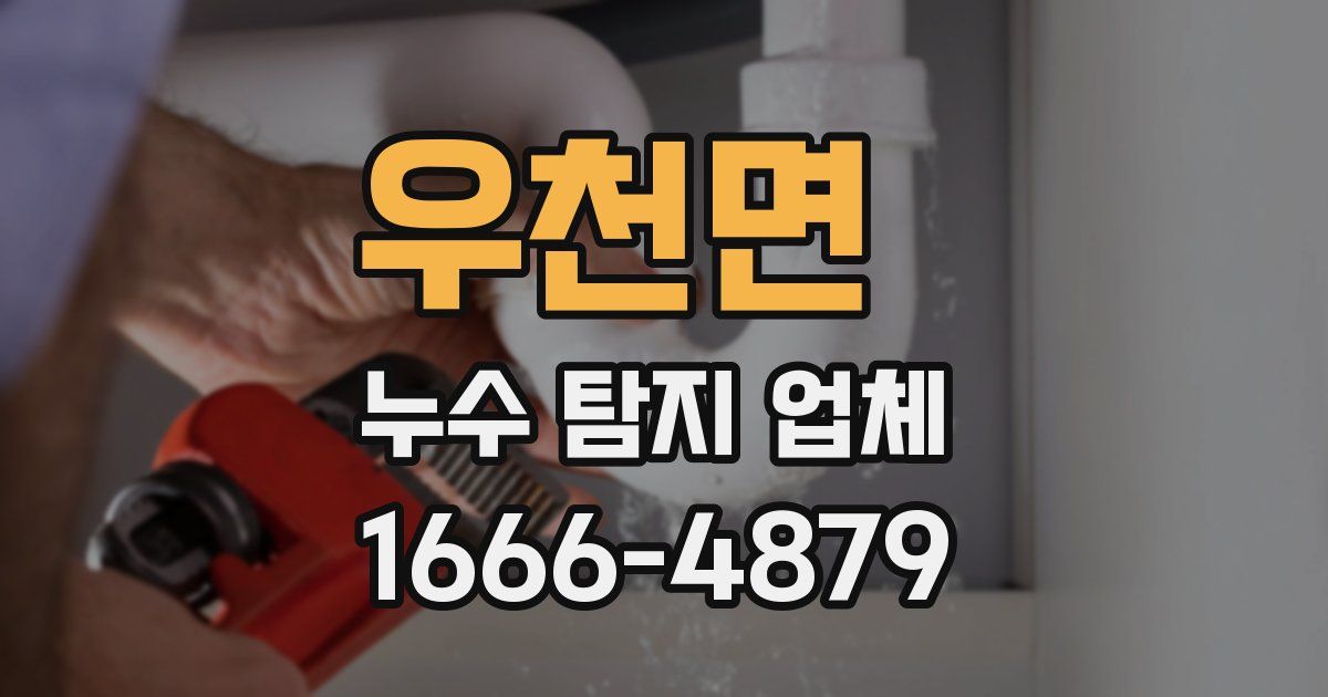 우천면 누수 탐지 업체