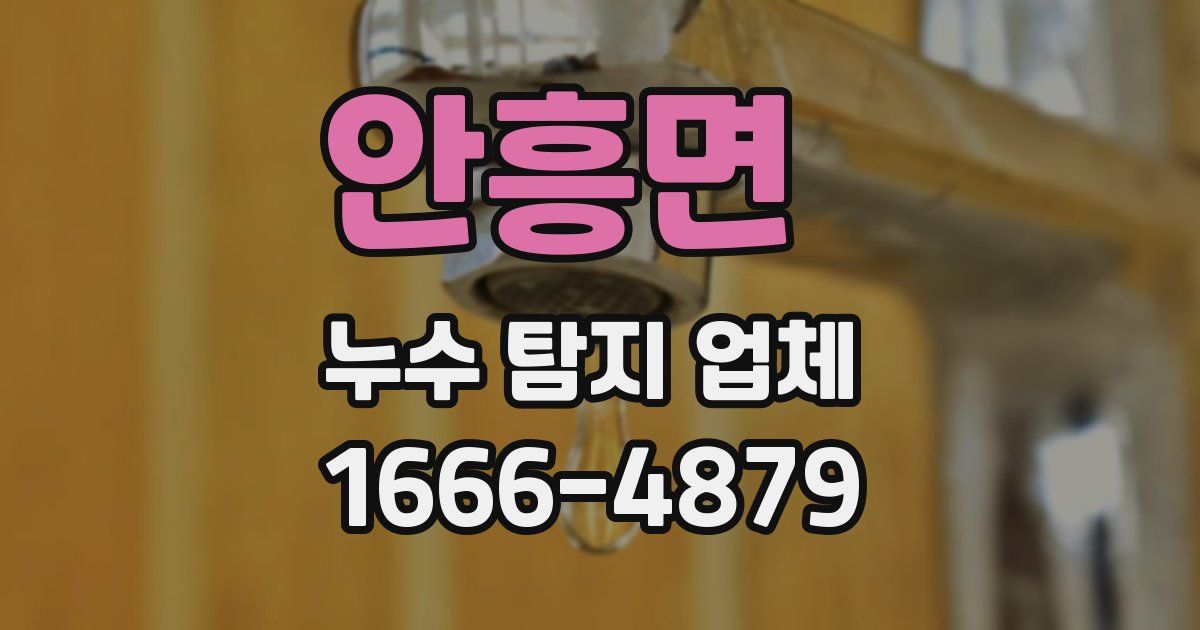안흥면 누수 탐지 업체