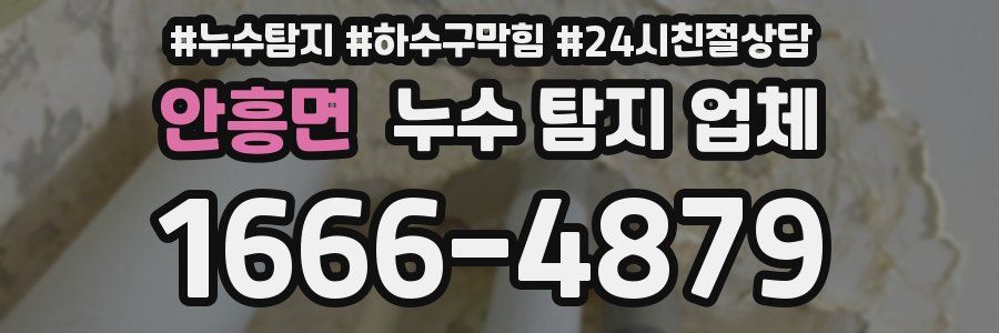 안흥면 누수 탐지 업체