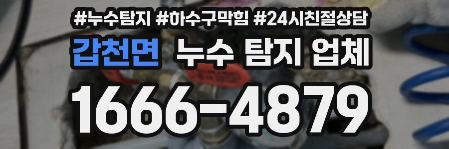 갑천면 누수 탐지 업체