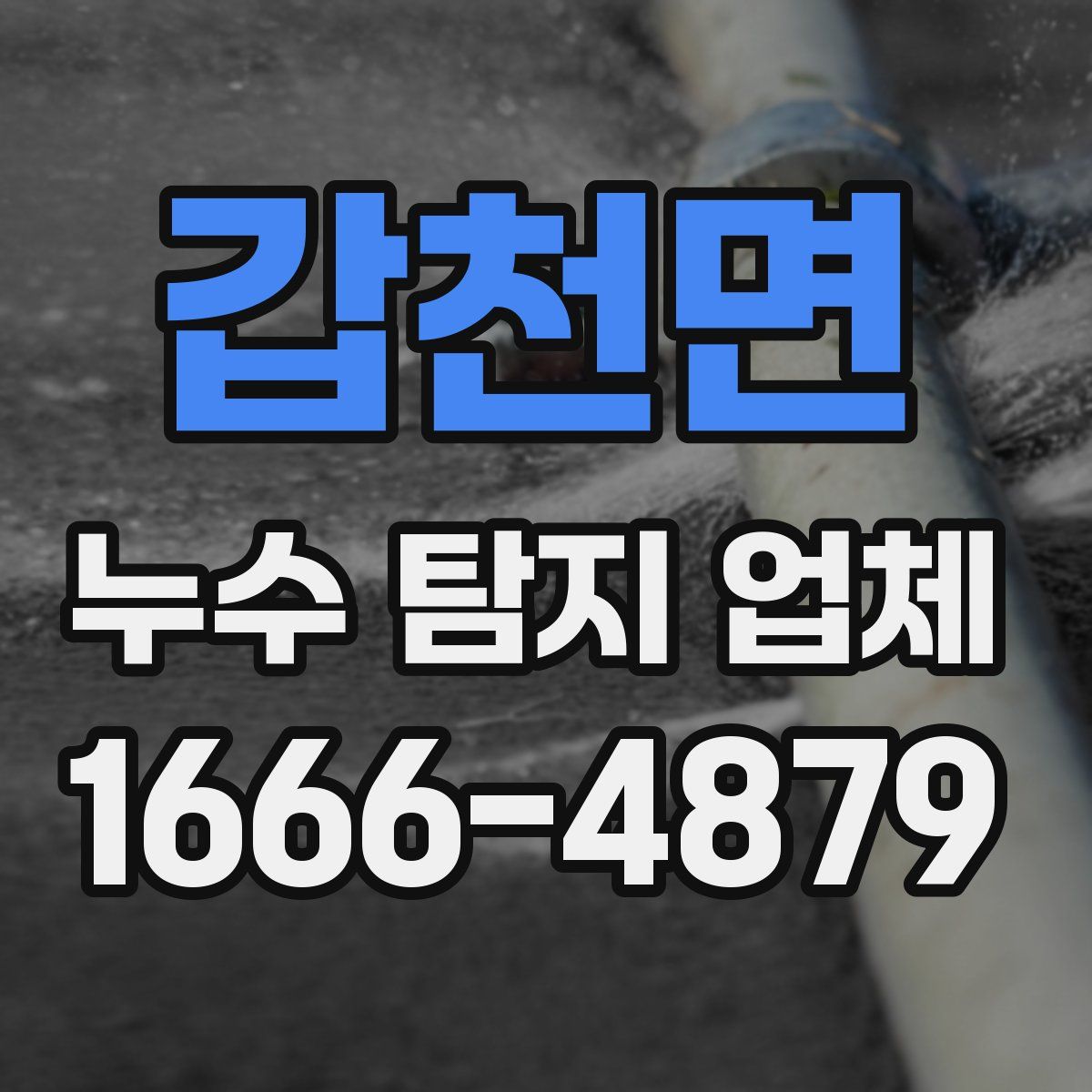 갑천면 누수 탐지 업체