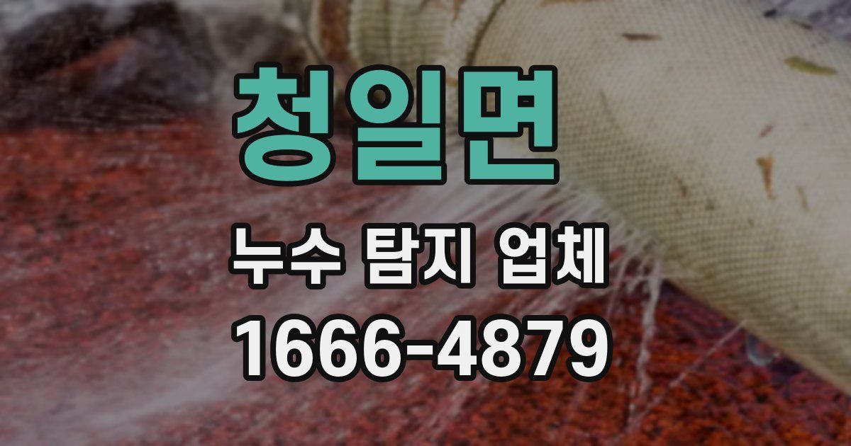 청일면 누수 탐지 업체