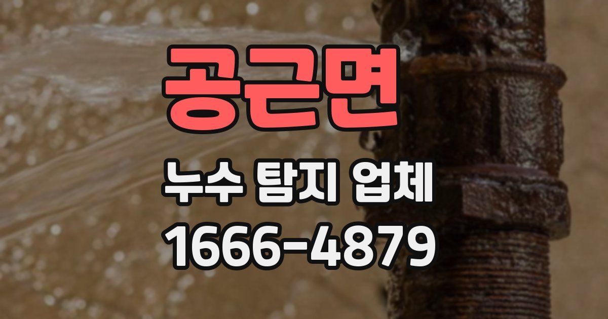 공근면 누수 탐지 업체