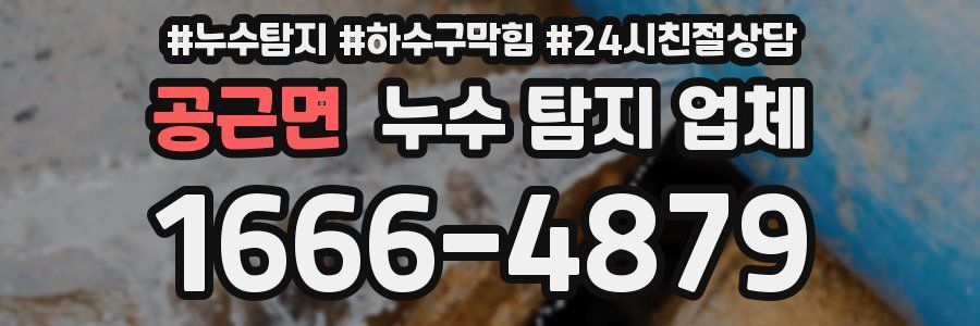 공근면 누수 탐지 업체
