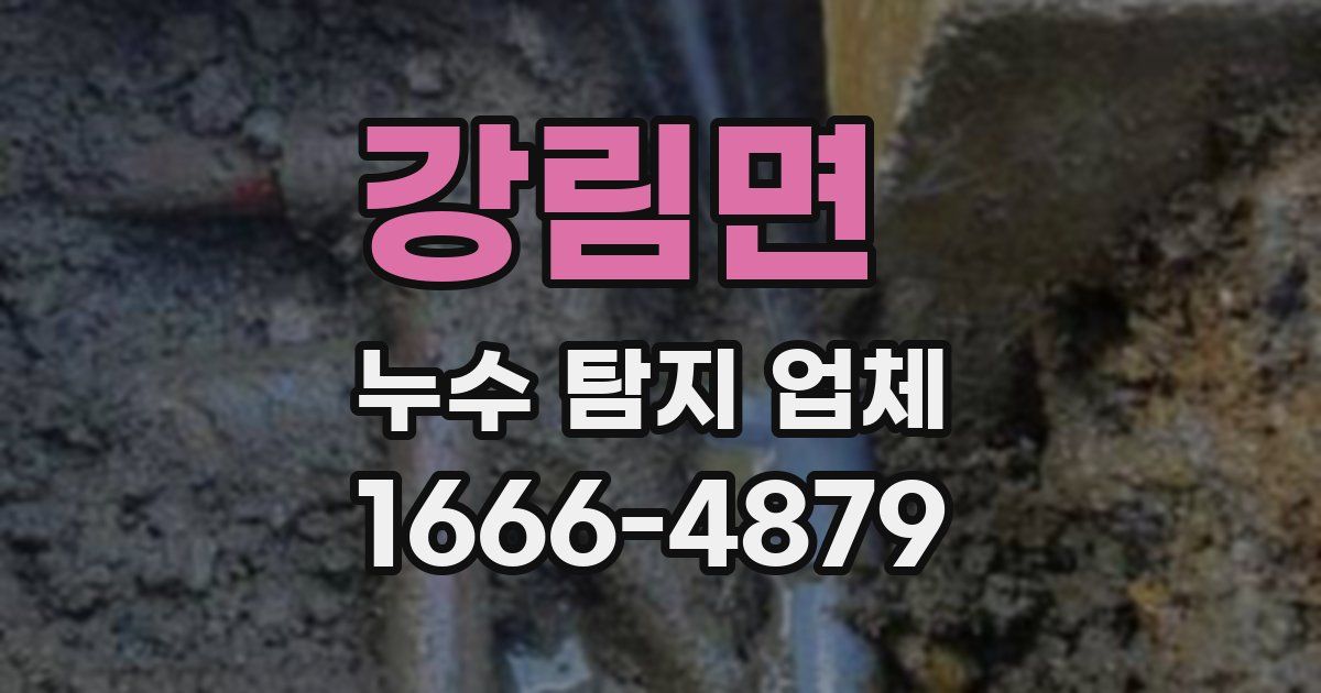 강림면 누수 탐지 업체