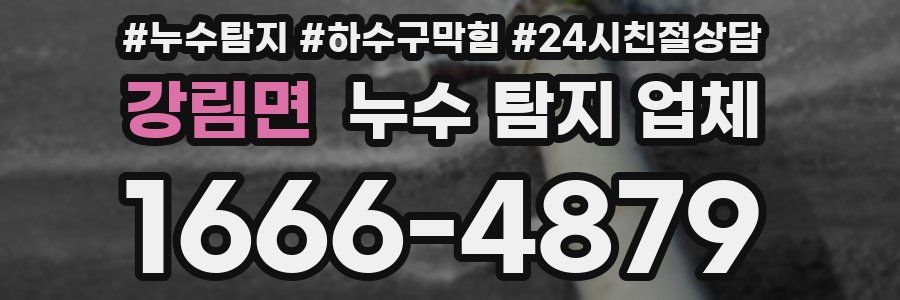 강림면 누수 탐지 업체
