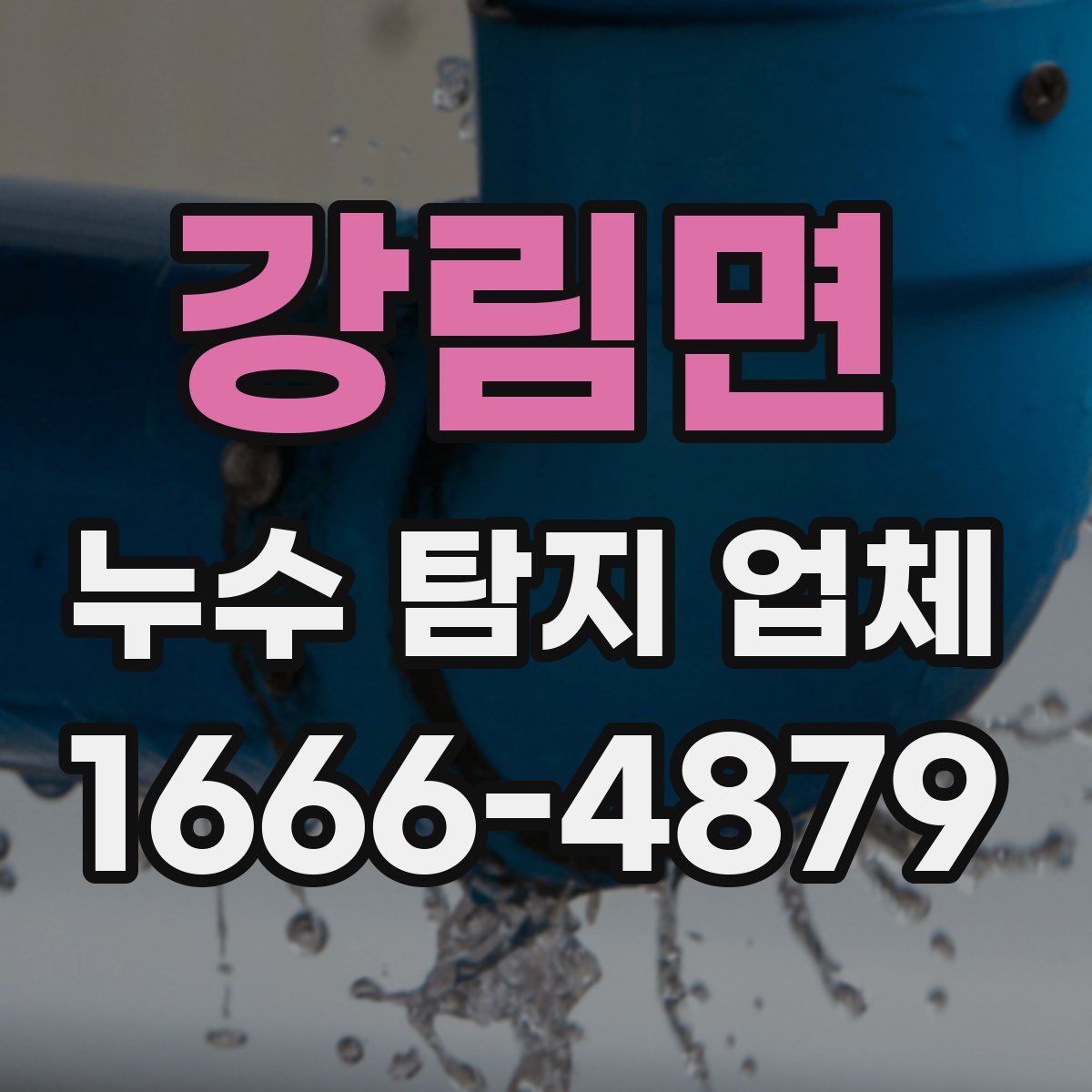 강림면 누수 탐지 업체