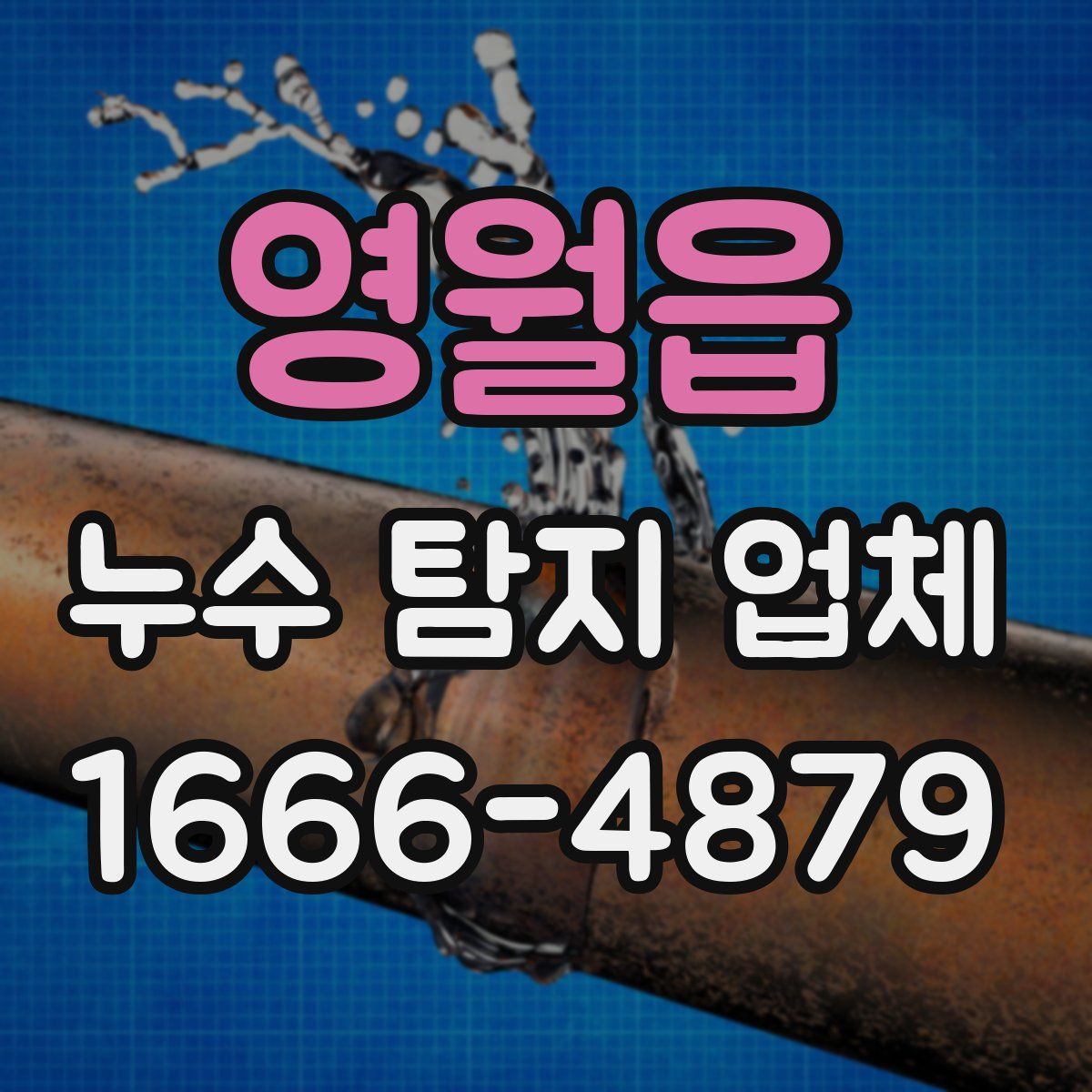 영월읍 누수 탐지 업체
