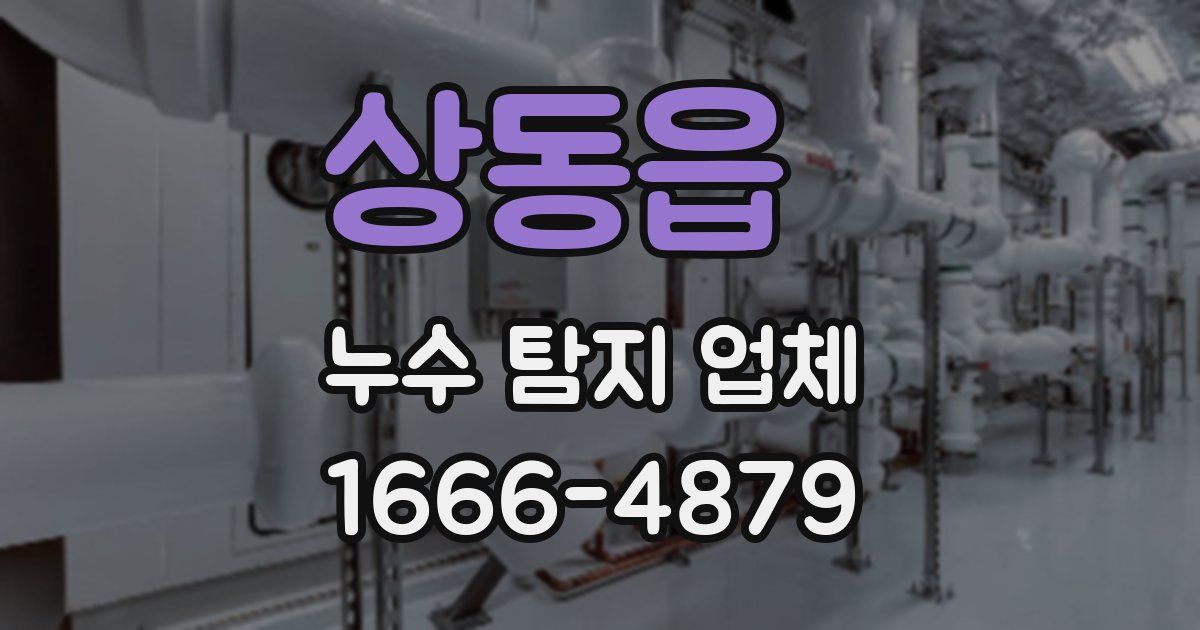 상동읍 누수 탐지 업체